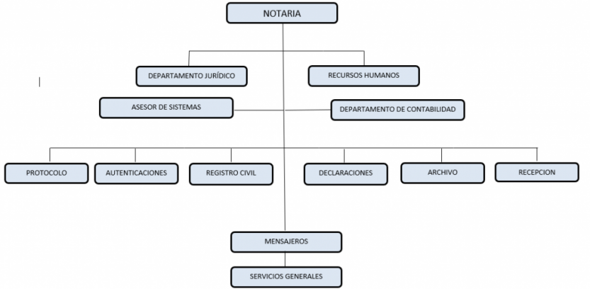 ORGANIGRAMA